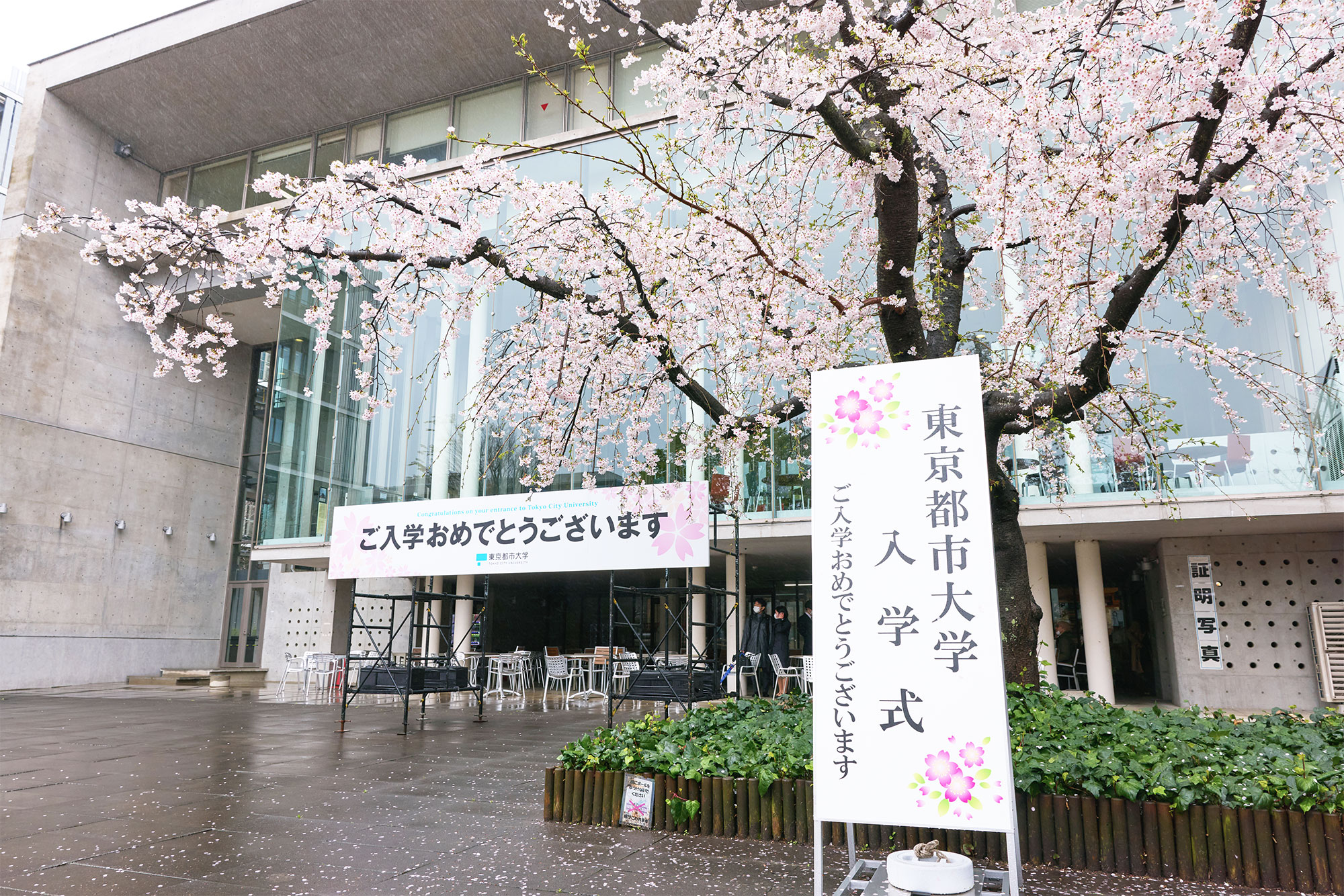【東京都市大学】2025年度 入学式（4/2）